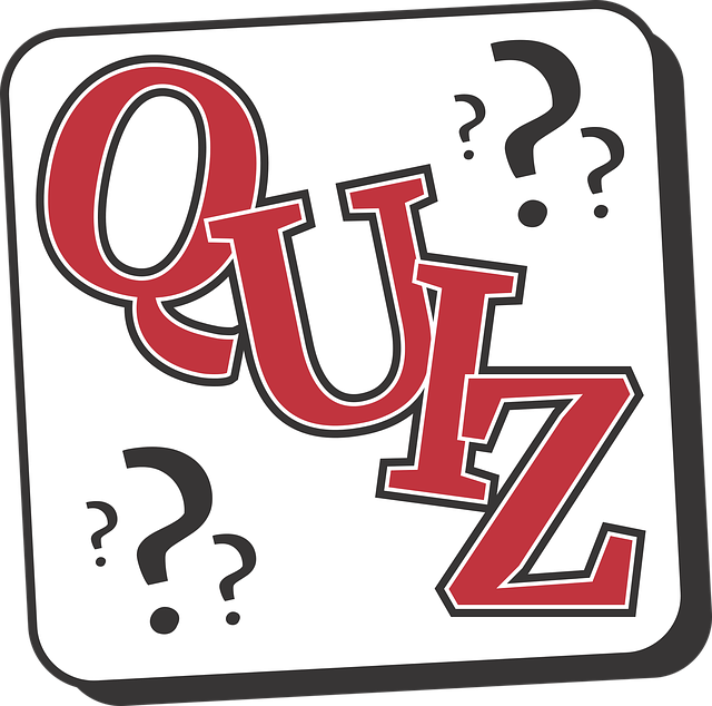 Ressources Fle Activité Fle B1 B2 Prêts Pour Le Quiz 